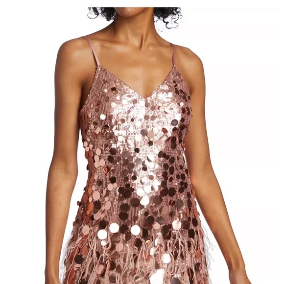 Ramy brook mini dress rose gold rina dress 2 nwt - Picture 4 of 13